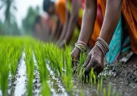 CPSEs to anchor CSR push in PM Dhan Dhaanya districts, DPE outlines two-year roadmap